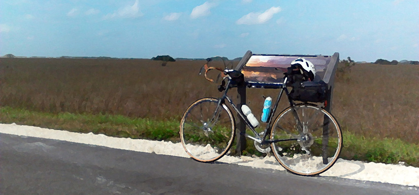 Stylized photo of bike in Everglades National Park